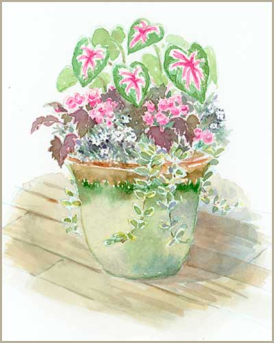 Erin O'Toole garden illustration.