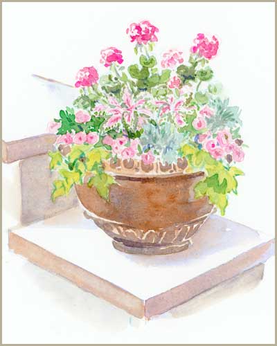 Erin O'Toole garden illustration.