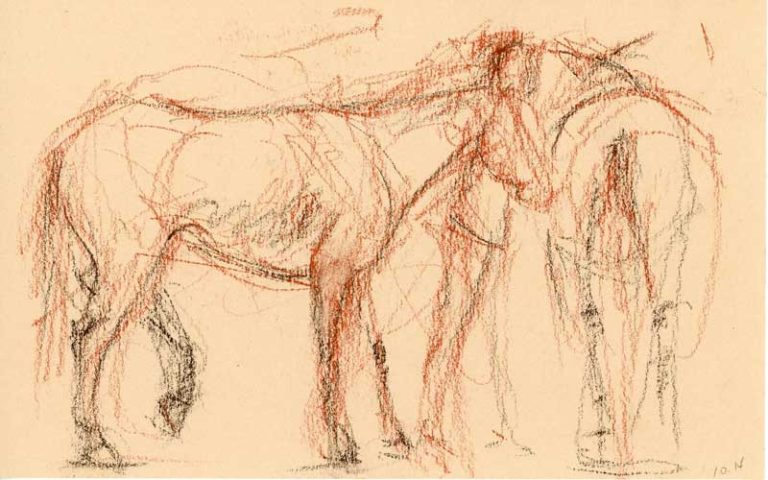 Erin O'Toole horse sketch.