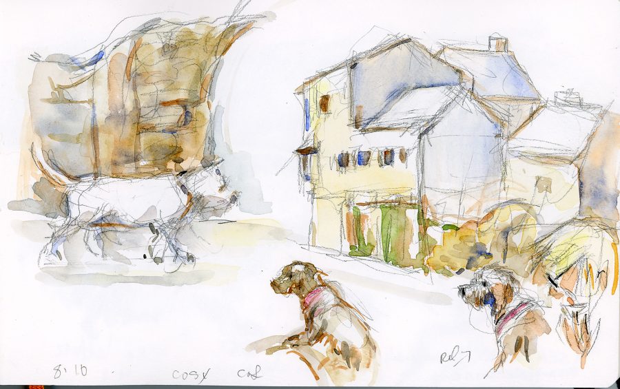 drawing of dogs in Kinsale by Erin O'Toole